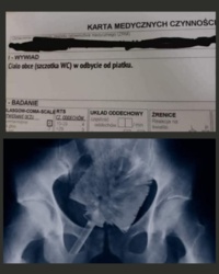 558985c1-b37b-47c4-a0f7-025b3e8ed193