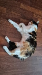 f061c2e9-2955-4499-aafe-2bbaa9c6f80c