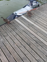 125184ff-87e1-46be-9734-a196a1566c1e