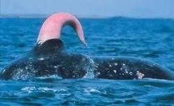 867de52c-0650-45e2-a2d8-f1f6498c1f8a