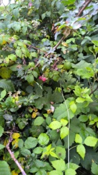 e92253cb-edbd-4d0d-ab28-b14006425da5