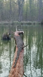 259a6cfe-592c-431c-8653-0e3de30be1e0