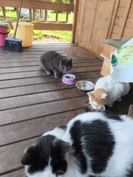 a260490b-5e73-4b52-9da1-a0c600d353f8