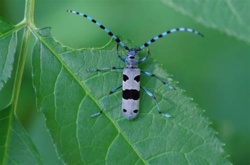 38e455db-b10b-443d-8127-de528b790104