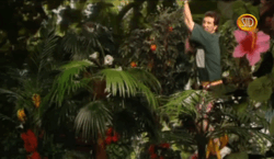 07bb112a-35d1-4dbf-8bd6-cba8bd008c91