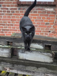 13eb5a76-6e47-4525-944f-739e49d92522