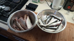 87d6650d-47db-4a52-a30a-a98e18a32cb3