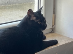 a5338b43-e128-43e1-9512-803979f820f1