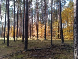 1e2a803a-6637-43a9-9335-1db8c7151954