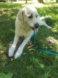 d5c3b0ee-38a4-4840-9927-0467a218b87a