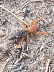 d8264acd-960c-4b4b-aacd-00728851639a