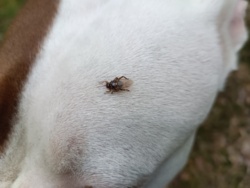 2609e7c6-8fad-47fa-8b77-afb7b6f68be0