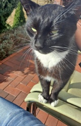 833b0784-be6d-40f3-9c9e-a1919a254292