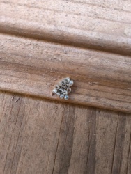 3bf77c59-6c79-4a44-a7cf-9f583192a5fe