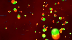 Czy istnieje naprawdę wieczny obiekt fizyczny?