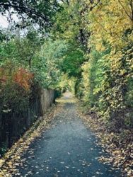 0ac88194-b4ee-4763-b1a1-4b82e0b39031