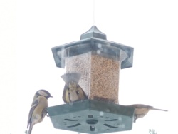 97287cec-9ebd-4087-8565-ac315f7bd56a