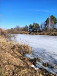 312278a8-4315-46cc-9bd6-c2a3bf0d9843