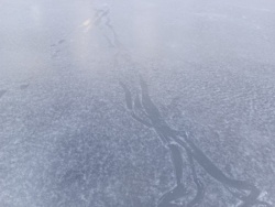 2ec23364-be84-473c-a89c-e57174c49e70