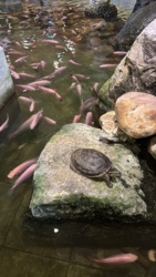 7bef2b27-7e37-4f39-b750-a5c84639aafe