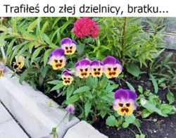 54173670-ec75-4a32-b718-e2c527c9b6f7