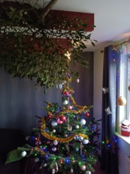 607d2693-db21-456e-a66e-ca9685bdf2bd