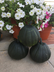 083bcf15-78dc-4c27-b71b-4fdc2e9516a7