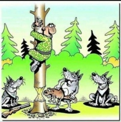 41365d45-e737-40e3-9495-0cb698b6dde8