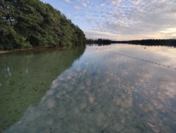 e8ba728b-8081-4f38-8dbc-6c13a137cb27