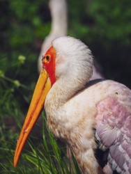 06cc6936-18d9-4972-b55f-859f97d853c1