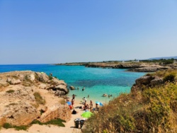 53a616ab-0667-44ff-94de-70c7f12fc6d9