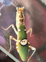 749dbef0-25d1-46f9-89ea-a78c3b7661db