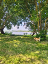 2eb323e3-7914-4531-8c3d-f5badeea8367