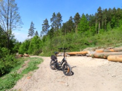 e50f2e8a-9ae7-4b29-bc3b-782d1770f023