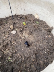 e92f5a16-9895-4641-8898-c0acfa3057f1