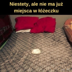 c7b1fbbc-e4fc-49cd-9d5b-858b80386bc8