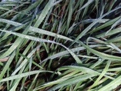 f7a25a6f-b5f9-448d-8b41-2554a7655a39