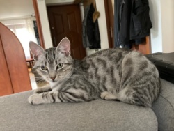 3aef5b19-6212-462a-817f-28e8f559e6b7