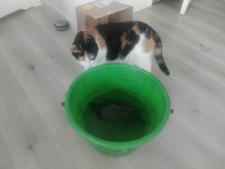 6f31d8eb-a17d-459c-bfa6-b2e98fe15f0f