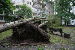 Stan nadzwyczajny na Litwie. Z pomocą ruszą Polacy