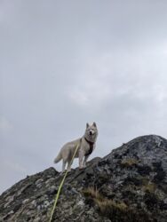 cc066596-5a47-40d2-8db0-c29c17bf6d92