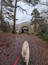 5f9624ff-473b-4c04-aad4-1902c0e1b252