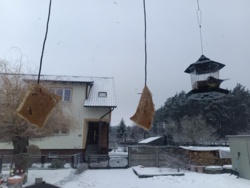 9c3564c9-c37a-4e7e-a48a-7d27a2478e0c