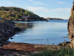 cb4a0d6c-5d76-4d61-a717-a8f4c6cc1d4b