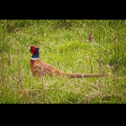 f44f7a8a-33a8-4442-9c95-09b3596c402c