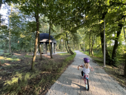 f2ad26d8-e939-406e-9690-799ff87e6b22