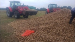 Zabrali 150 ton ziemniaków. Właściciel w szoku. "To był mój towar"