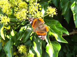 20ce0987-dc92-4818-aec2-538c25a57ea6