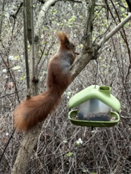 e04669e5-c252-47a1-9be7-a6df63c3cb2e