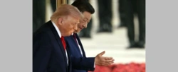 Analityk OSW: Xi mami Trumpa wizją „wielkiego dealu”, ale kwestia Tajwanu może nasilić napięcia